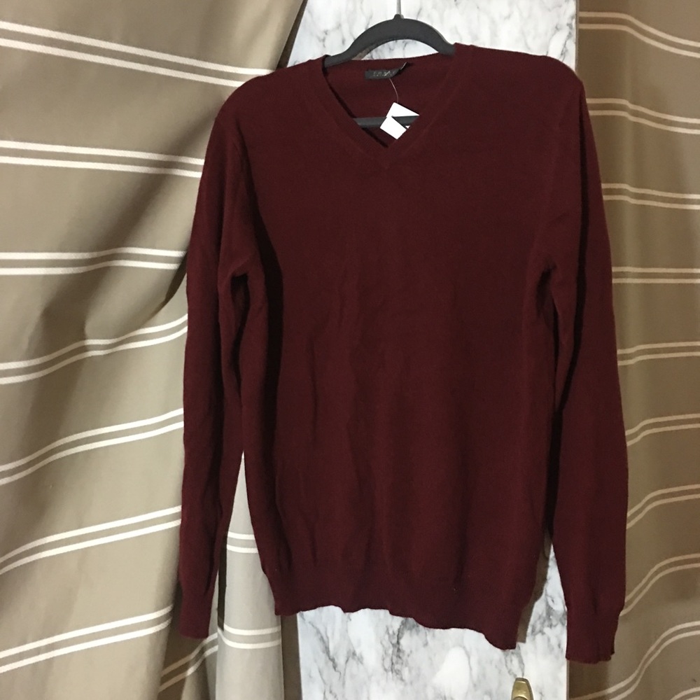 Forte 100% Cashmere V-Neck Men's Sweater